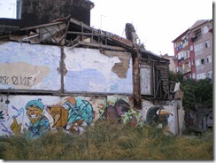 IMGP6169